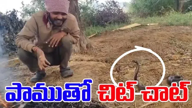 Man Talks Calmly To Cobra: చలి కాచుకోవడానికి వచ్చిన పాము.. ఆ యువకుడు ఏం చేశాడంటే..