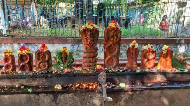 Subrahmanya Shashti: సుబ్రహ్మణ్య షష్ఠి ఎప్పుడు.. ఆ రోజు ఇలా చేయండి.. 