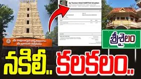 Fake website in Srisailam: శ్రీశైలం దేవస్థానం పేరిట నకిలీ వెబ్‌సైట్ కలకలం