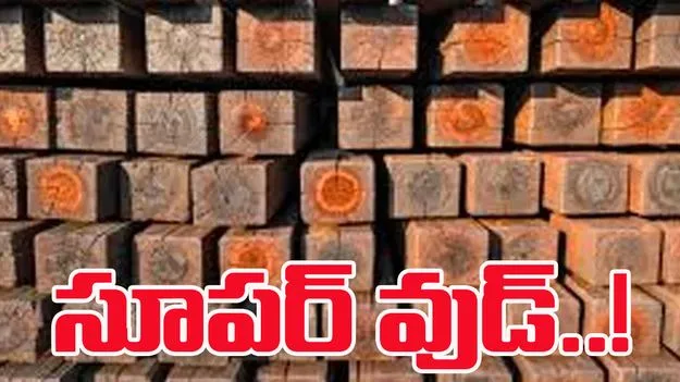 Super Wood: సూపర్‌ వుడ్‌.. ఉక్కును మించిన చెక్క