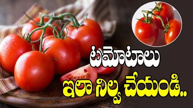 Tips To Store Tomatoes: టమోటాలు ఎక్కువ రోజులు ఫ్రెష్‌గా ఉండాలంటే.. ఇలా చేయండి