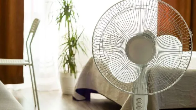 Table Fan Cleaning Tips: టేబుల్ ఫ్యాన్ క్లీన్ చేయడానికి ఇబ్బంది పడుతున్నారా? ఇలా చేయండి.!