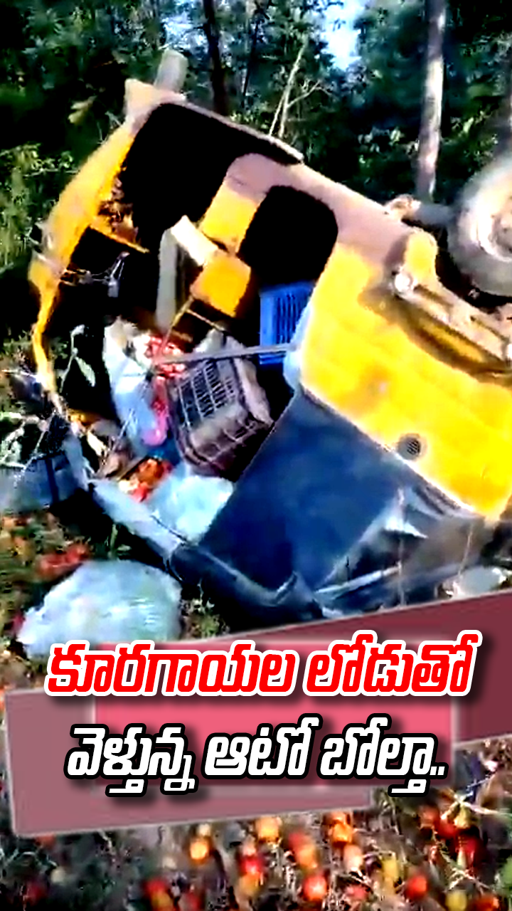 కూరగాయల లోడుతో వెళ్తున్న ఆటో బోల్తా..
