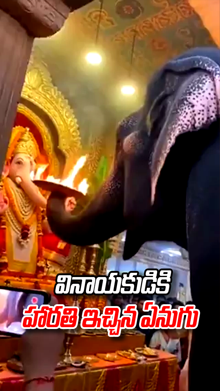వినాయకుడికి హారతి ఇచ్చిన ఏనుగు 