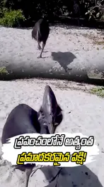 ABN Andhrajyothy Telugu Short News Video - Quick News Updates in 60 Seconds