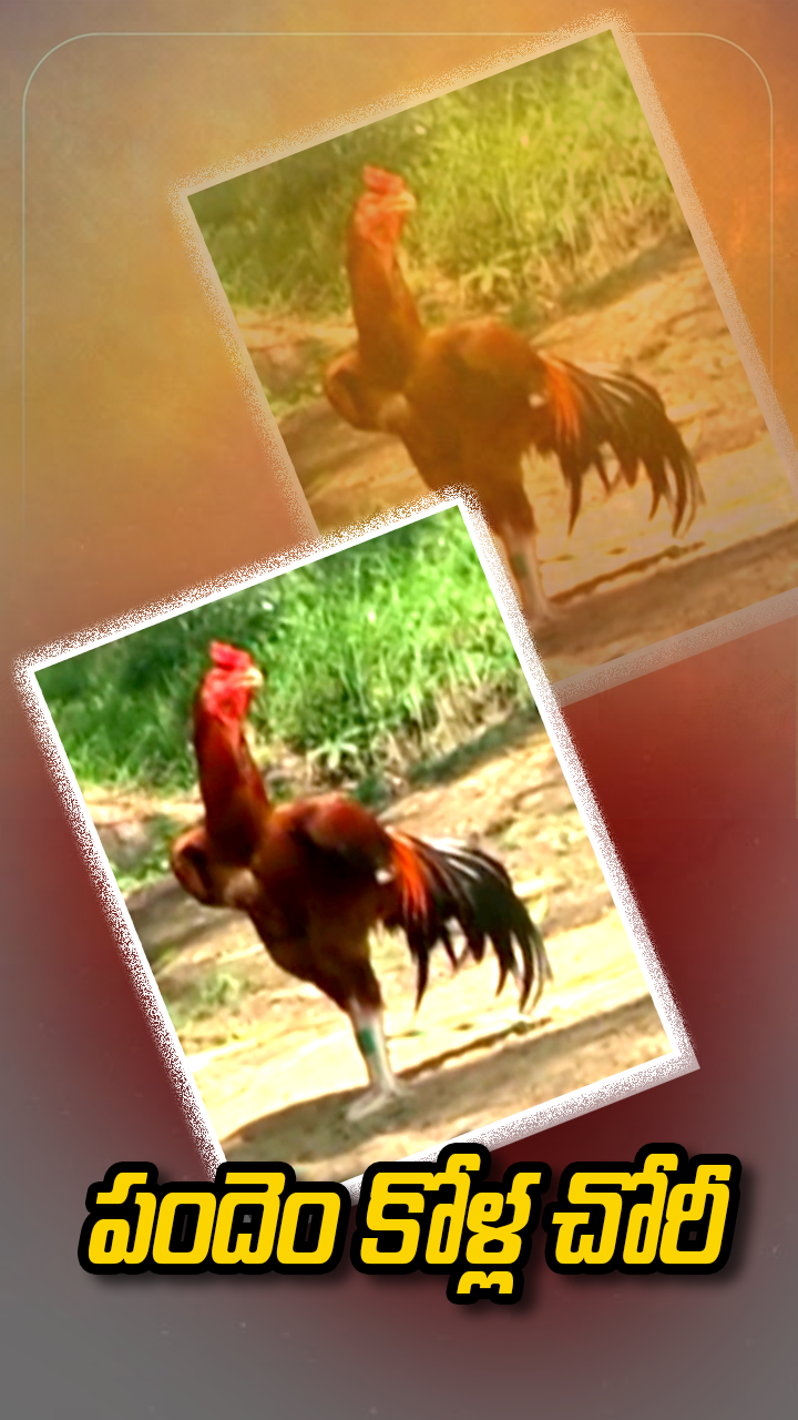 ABN Andhrajyothy Telugu Short News Video - Quick News Updates in 60 Seconds