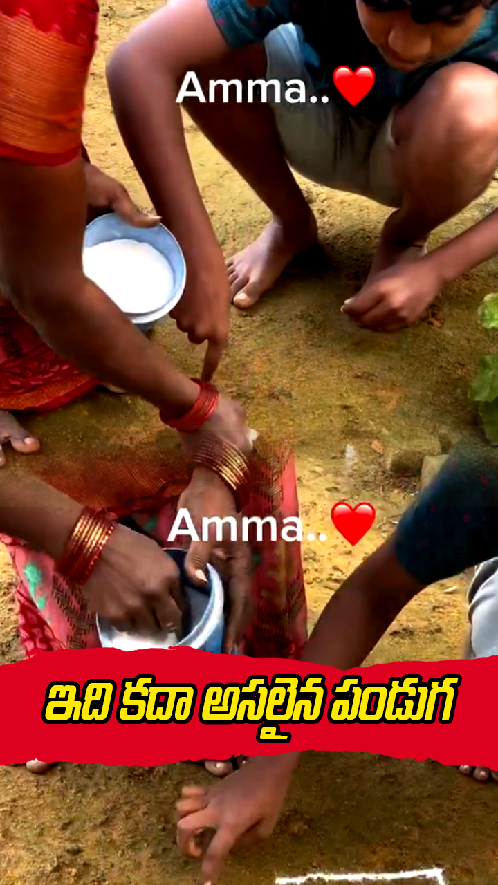 ఇది కదా అసలైన పండుగ