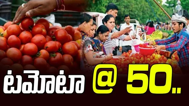 Tomato price: టమోటా @50.. భారీగా పెరిగిన ధర