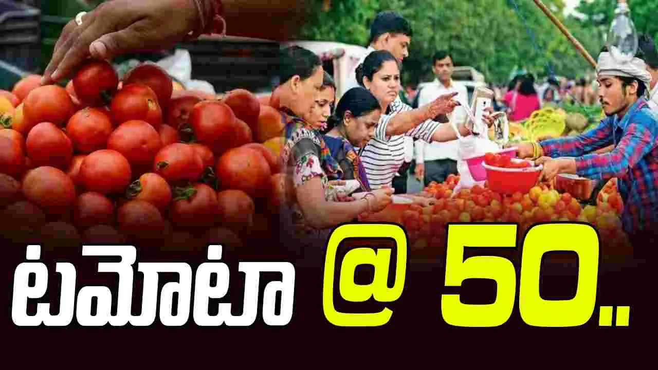 Tomato price: టమోటా @50.. భారీగా పెరిగిన ధర