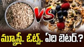 Health: మ్యూస్లీ, ఓట్స్‌లలో ఏది మంచిది?