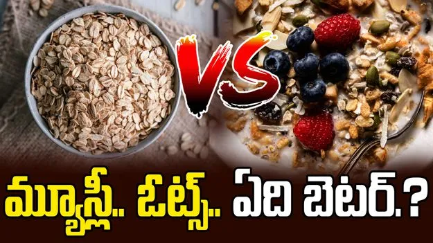 Health: మ్యూస్లీ, ఓట్స్‌లలో ఏది మంచిది?