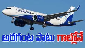 IndiGo Flight: గాల్లో చక్కర్లు కొట్టిన సింగపూర్‌ ఇండిగో ఫ్లైట్.. అరగంట తర్వాత..