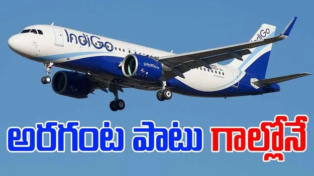 IndiGo Flight: గాల్లో చక్కర్లు కొట్టిన సింగపూర్‌ ఇండిగో ఫ్లైట్.. అరగంట తర్వాత..
