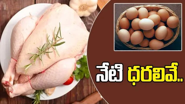 Chicken and Eggs Rates: మార్కెట్లో చికెన్, కోడిగుడ్ల ధరలు ఎలా ఉన్నాయో తెలుసా.?