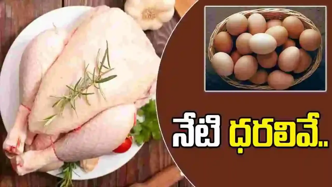 Chicken Rates Today: నేటి మార్కెట్లో చికెన్, కోడిగుడ్ల ధరలు ఎలా ఉన్నాయంటే.?