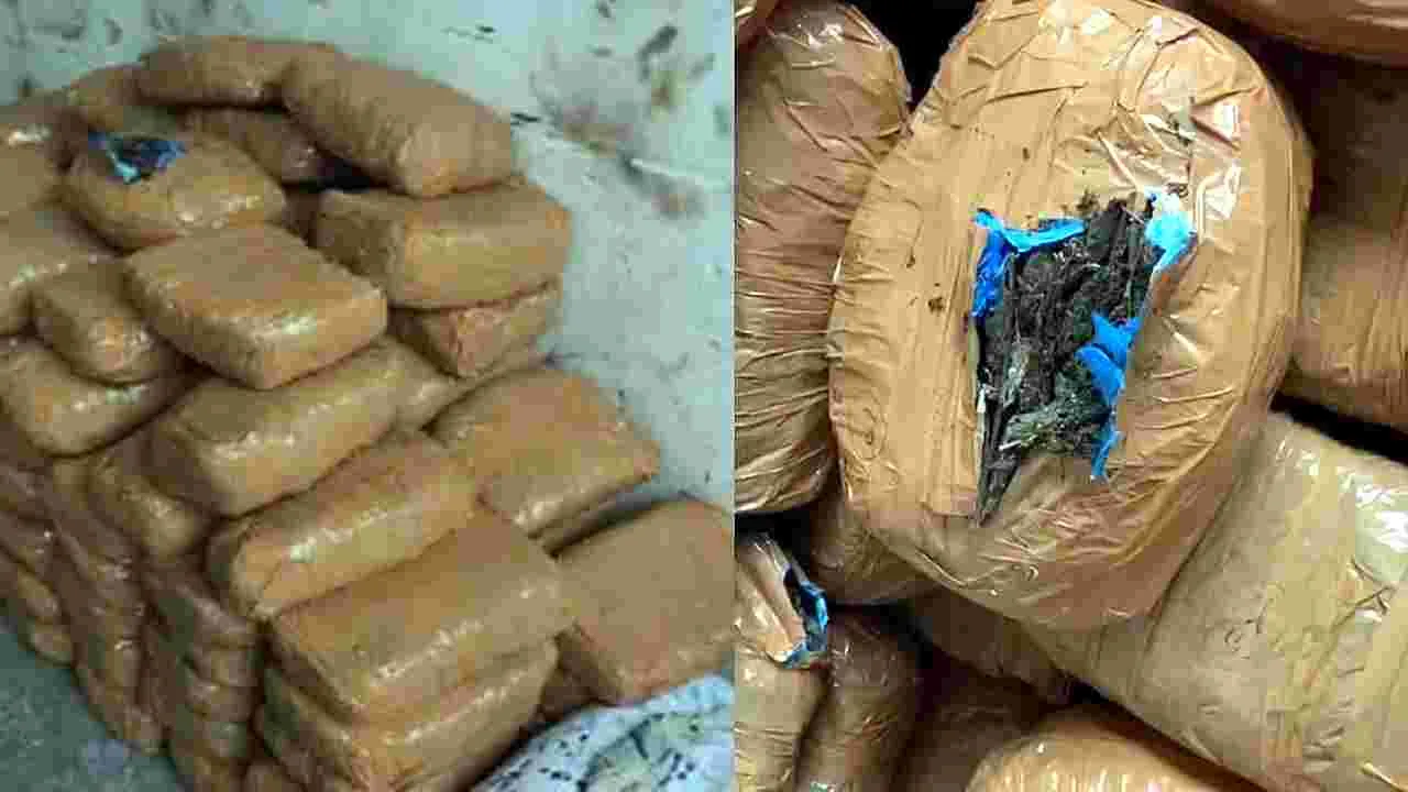 Nizamabad Central Jail: నిజామాబాద్‌ సెంట్రల్‌ జైలులో  గంజాయి గుప్పు