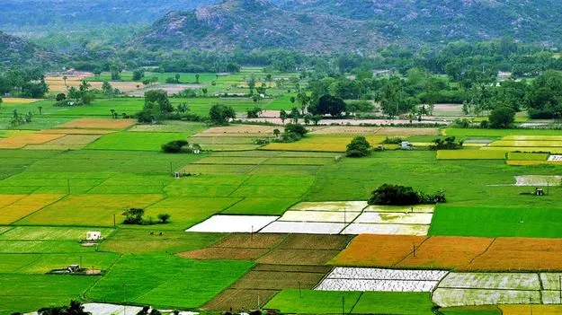 Registration Fee: రూ.100తో వారసత్వ భూముల రిజిస్ర్టేషన్‌