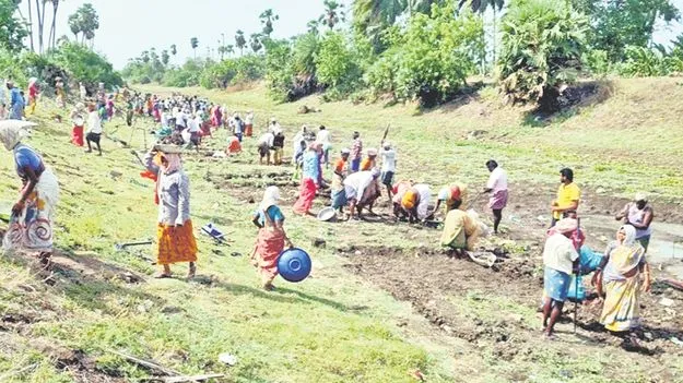 Employment Scheme: ఉపాధి ఉద్యోగులకు ఊరట