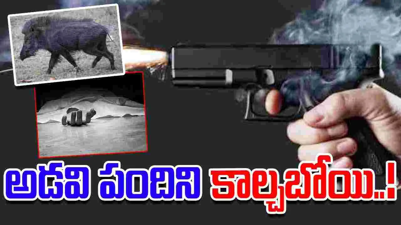 Bengaluru News: అడవిపందిని కాల్చబోయి.. అనంతలోకాలకు..