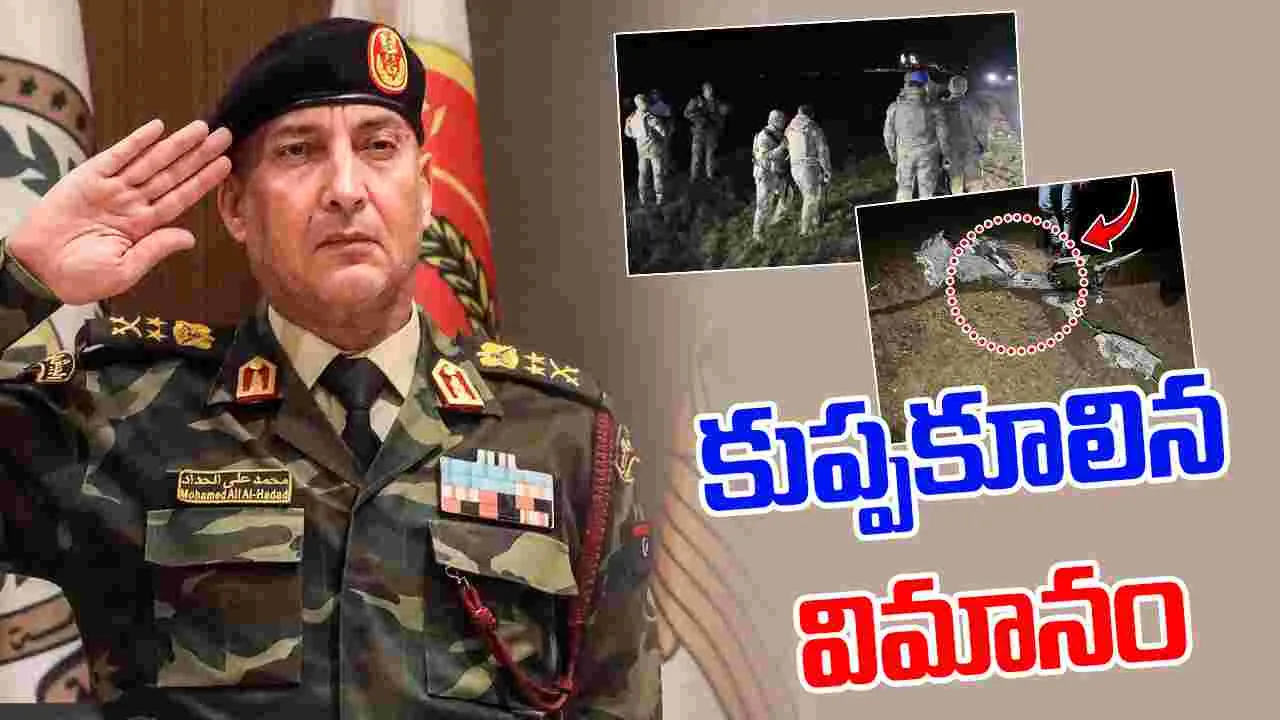 Plane Crash In Turkey: ప్రైవేట్ జెట్ కూలి లిబియా సైనికాధ్యక్షుడు సహా 8 మంది మృతి