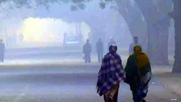 AP Weather: జి.మాడుగులలో 3.8 డిగ్రీలు