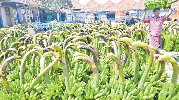 Banana Price Hike: అరటి ధరకు ఊపు