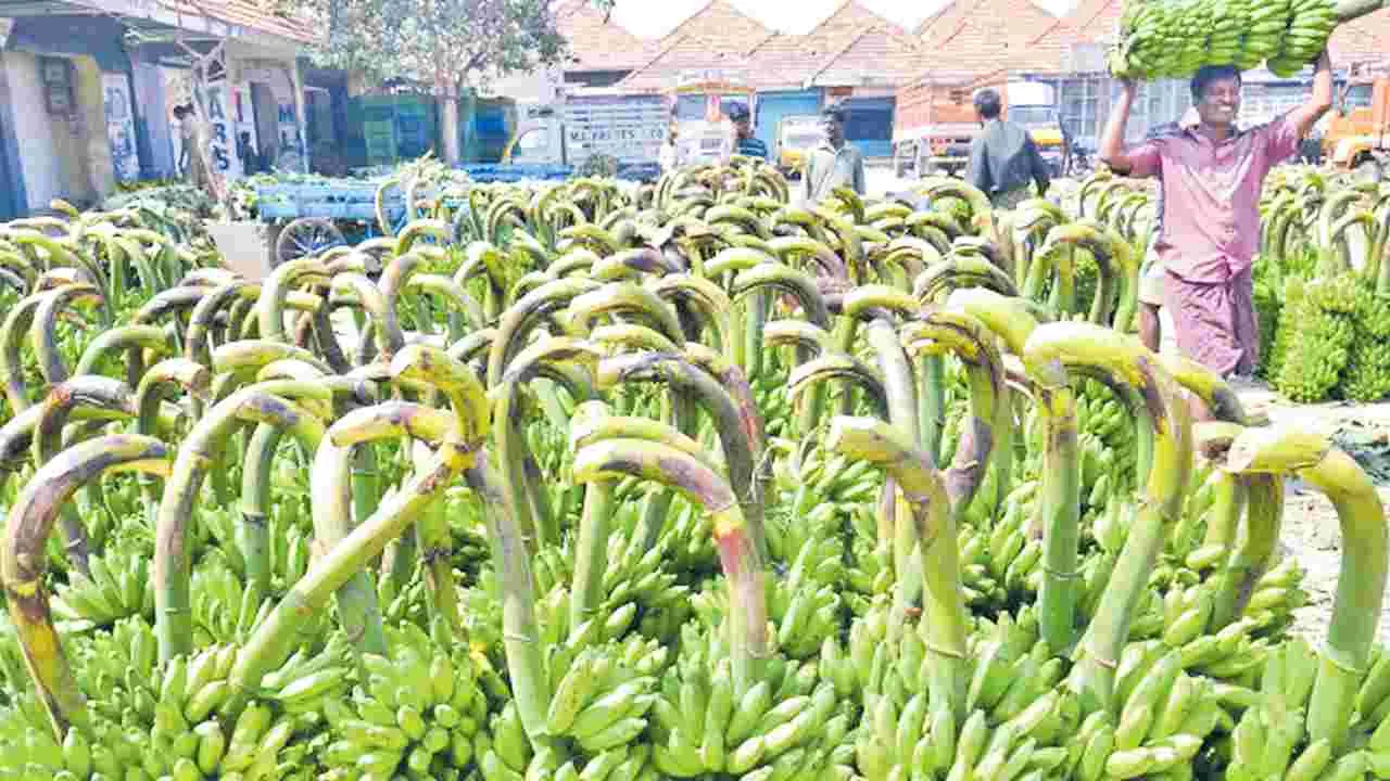 Banana Price Hike: అరటి ధరకు ఊపు