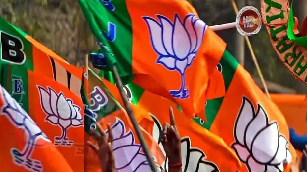  BJP Victory: బీజేపీకి 90 శాతం  స్ట్రైక్‌ రేట్‌ ఎలా సాధ్యం 