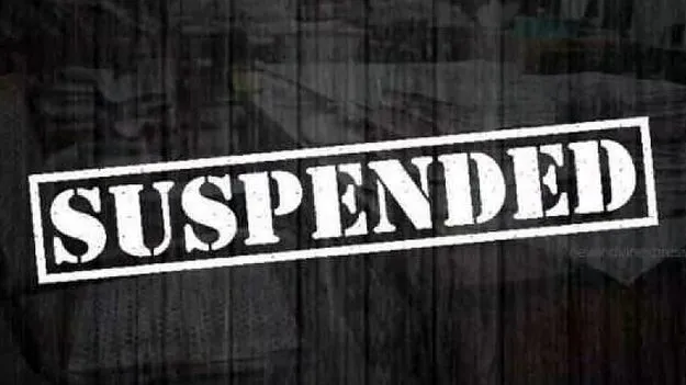 Excess Property Case: డిప్యూటీ కలెక్టర్‌ విజయ సూర్యకళ సస్పెన్షన్‌