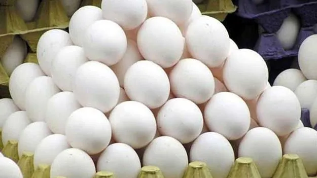 Egg Price Hike: కోడిగుడ్డు కొత్త రికార్డు.. 