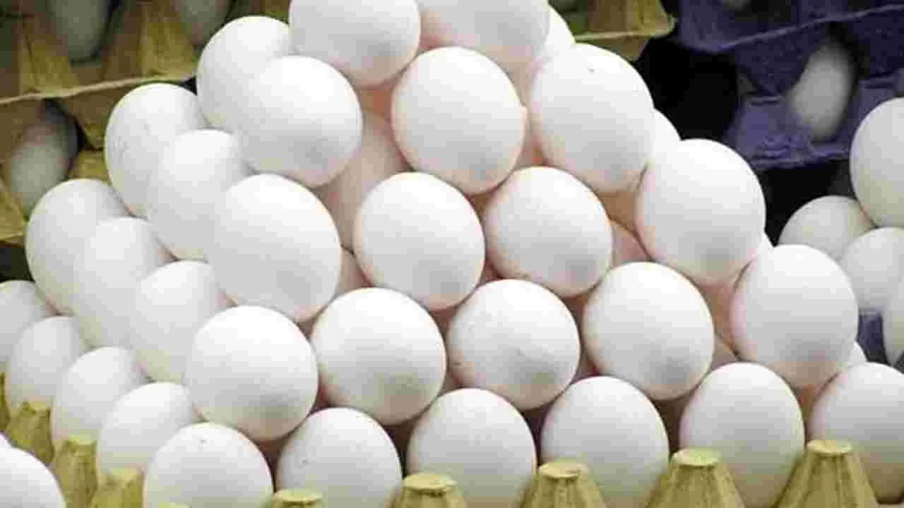 Egg Price Hike: కోడిగుడ్డు కొత్త రికార్డు..