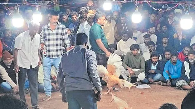 Jaggampeta: కోటి కూత..