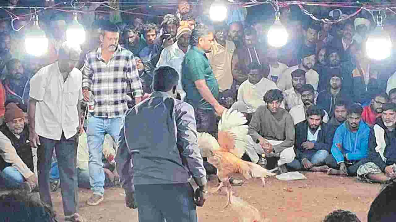 Jaggampeta: కోటి కూత..