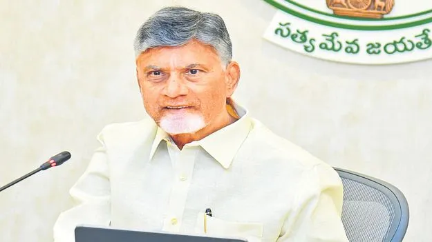 AP CM Chandrababu: అన్నీ నేనే చూడాలా