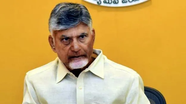 AP CM Chandrababu: మొక్కజొన్న రైతులను ఆదుకోండి
