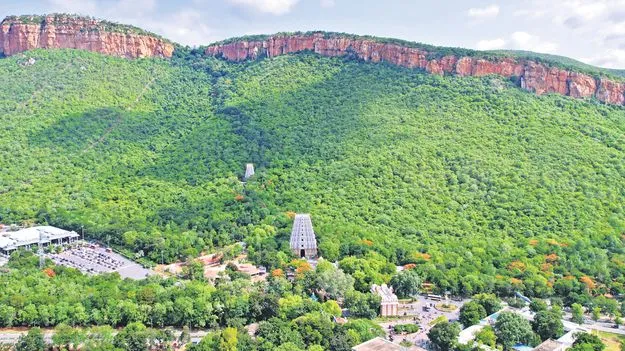 TTD Housing Project: అలిపిరిలో ‘ఇంటిగ్రేటెడ్‌ టౌన్‌షిప్‌’