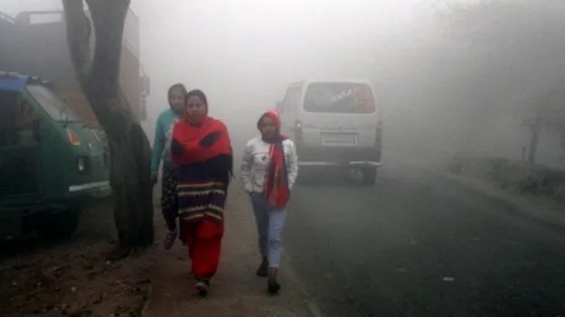 AP Weather: కోస్తా సీమలను కమ్మేసిన మంచు, చలి