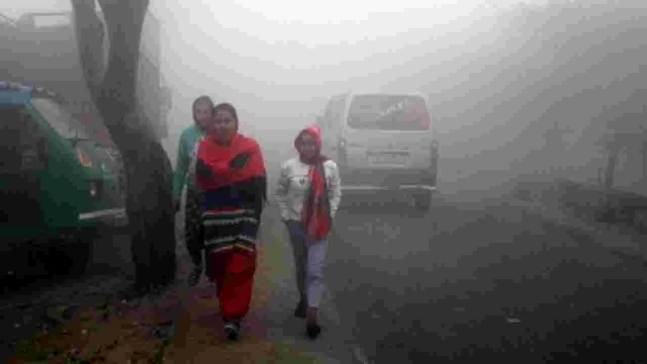 AP Weather: కోస్తా సీమలను కమ్మేసిన మంచు, చలి