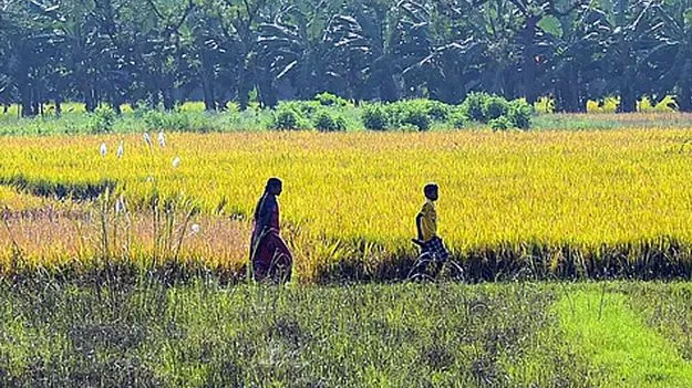 Revenue Department: సాదా బైనామాలకు మోక్షం