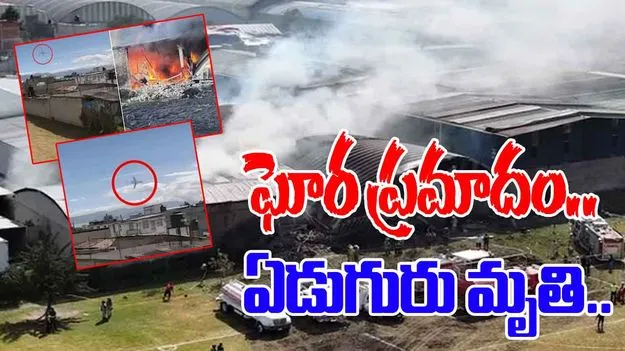 Plane Crash In Mexico: మెక్సికోలో కూలిన విమానం.. ఏడుగురు మృతి
