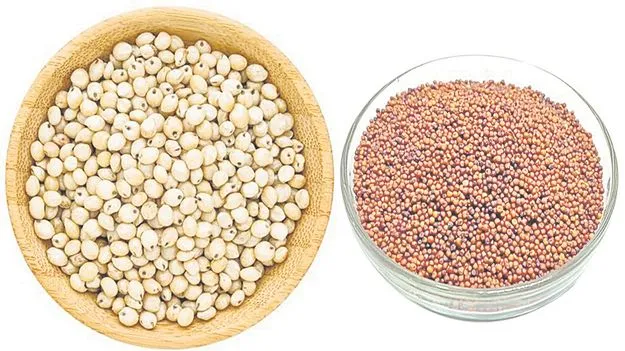 Ration Distribution: రేషన్‌లో మళ్లీ రాగులు, జొన్నలు