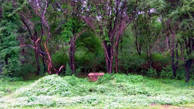 అడవుల నుంచి ఆదివాసీల గెంటివేతను వ్యతిరేకించాలి:  రైతుకూలీ సంఘం 