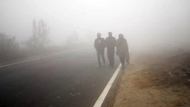 Meteorological Department: కోస్తా, సీమలపై మంచు దుప్పటి