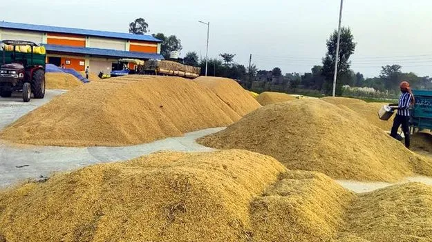 AP Government : ధాన్యం సేకరణకు మరో 1,200 కోట్ల రుణం