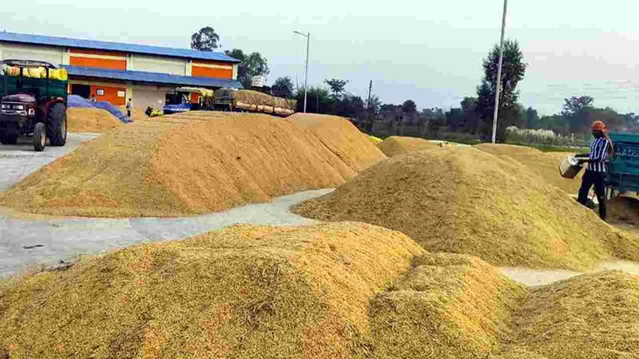 AP Government : ధాన్యం సేకరణకు మరో 1,200 కోట్ల రుణం