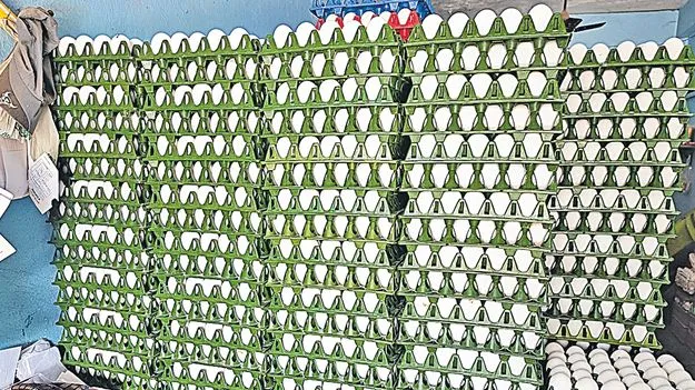 Egg Price Hike: కోడి గుడ్ల ధరలకు రెక్కలు 