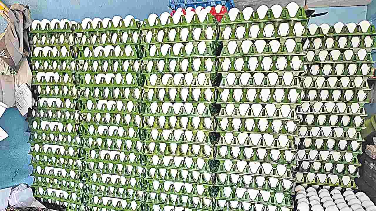 Egg Price Hike: కోడి గుడ్ల ధరలకు రెక్కలు