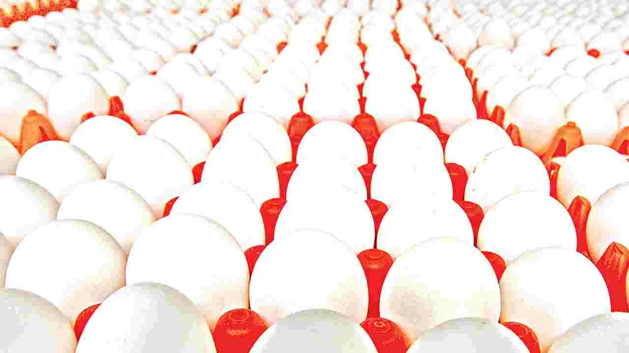 Egg Price Hike: గుడ్డు ధర పైపైకి..