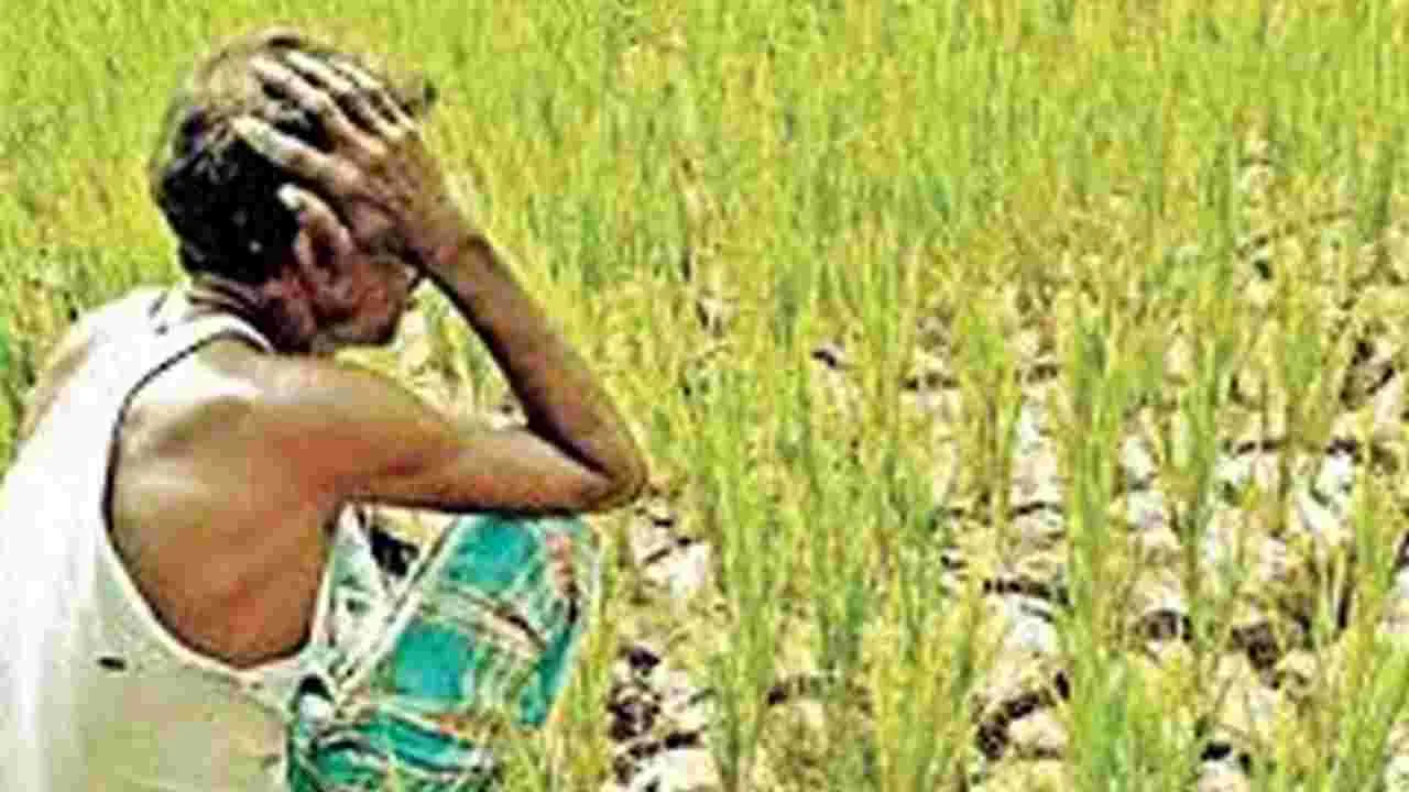 Asifabad Rural: పంట నష్టం.. రైతు ఆత్మహత్య