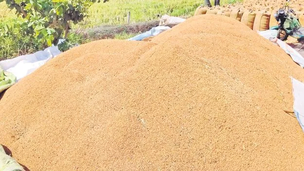 Paddy Procurement: ధాన్యం అమ్మడానికి ఎన్ని తిప్పలో